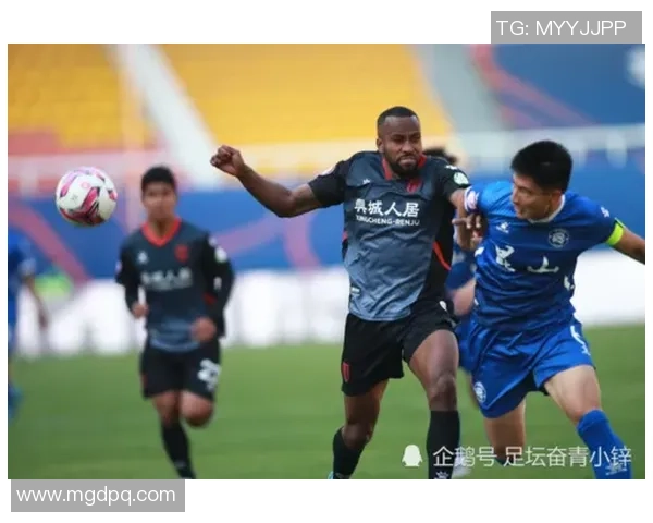 成都排球队以81分领跑精英赛积分榜展现强大实力