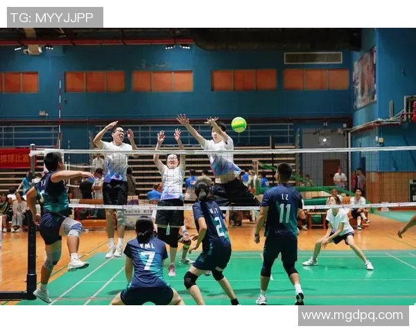 广州排球队总决赛精彩回顾与节奏表现分析