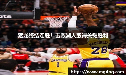 SG官网