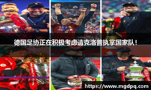 SG胜游官网