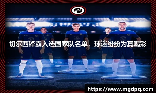SG胜游官网