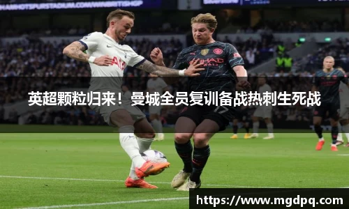 胜游官网