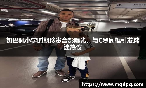 SG官网