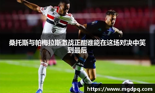 胜游官网