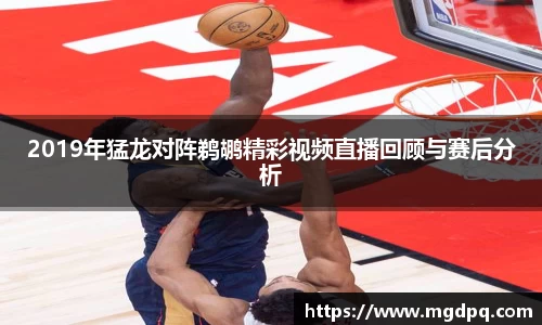 SG胜游
