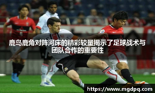 SG胜游官网