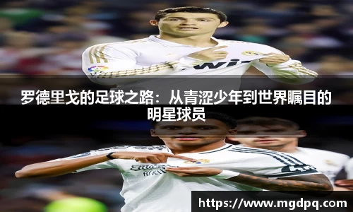 SG胜游官网