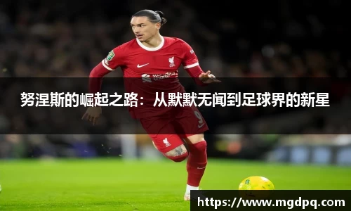 SG官网
