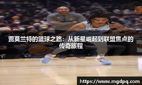 SG官网