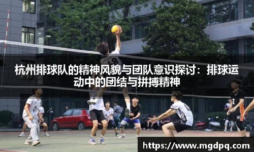 杭州排球队的精神风貌与团队意识探讨：排球运动中的团结与拼搏精神