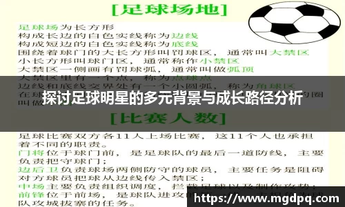 SG胜游官网